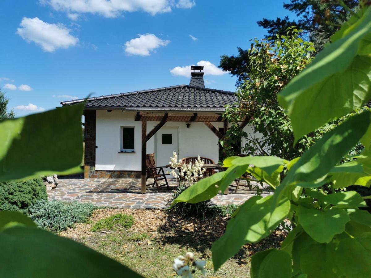 Ferienhaus Hase Bomsdorfer Hof Grafenhainichen Eksteriør bilde